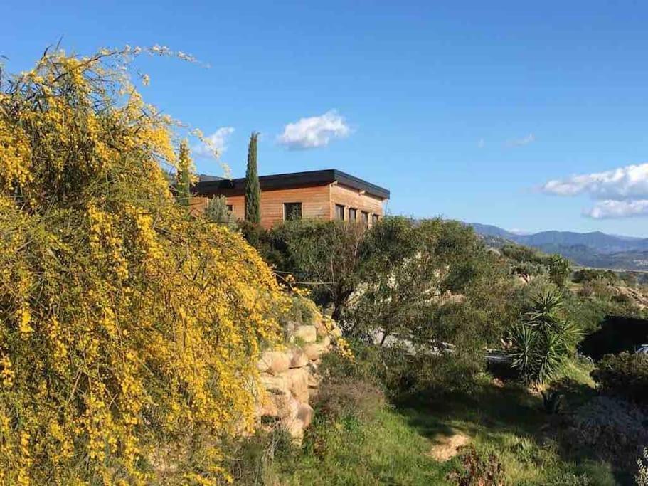 הוילה סאגון Casa Turrigiani מראה חיצוני תמונה