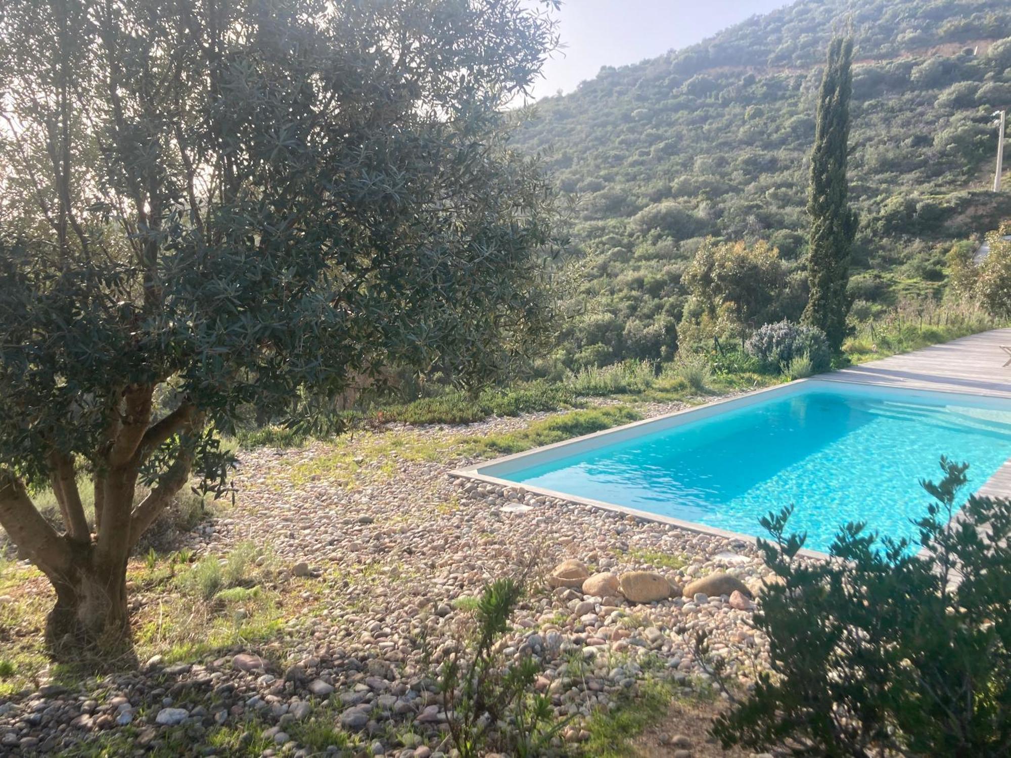 הוילה סאגון Casa Turrigiani מראה חיצוני תמונה